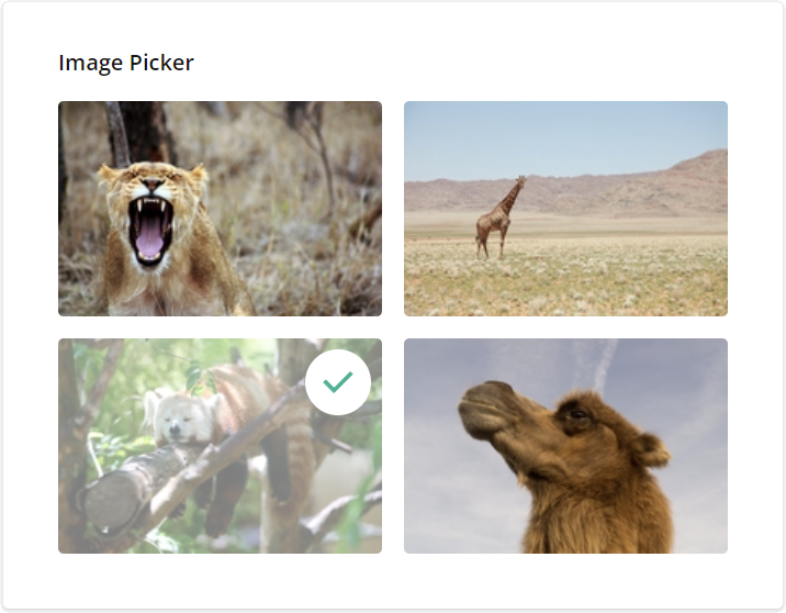 Question types - Image Picker